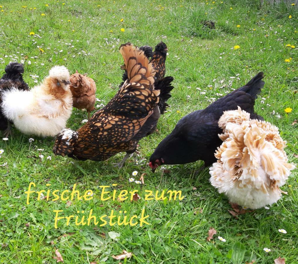 Ferienwohnung Andrea Sankt Gallenkirch Buitenkant foto